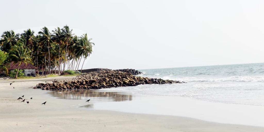 Casa Linda Hotel Kochi المظهر الخارجي الصورة